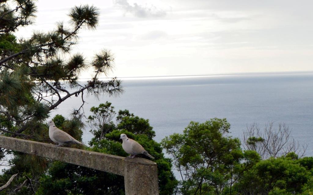 Apartamento Gois Machico  Exteriér fotografie